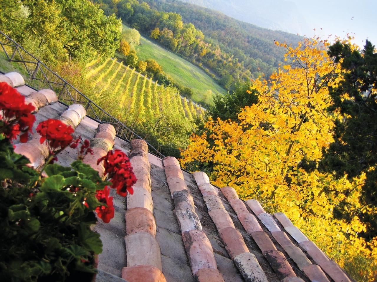 Villa Agriturismo Borgo Ornina Salutio Exterior foto